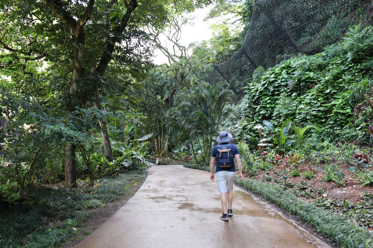 A Local s Guide To Visiting Waimea Falls And Botanical Garden a-local-s-guide-to-visiting-waimea-falls-and-botanical-garden