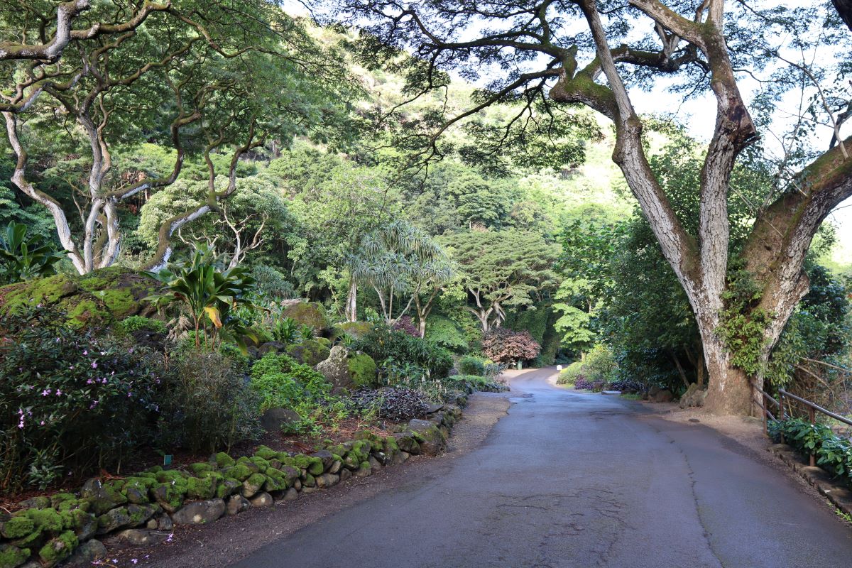 a-local-s-guide-to-visiting-waimea-falls-and-botanical-garden