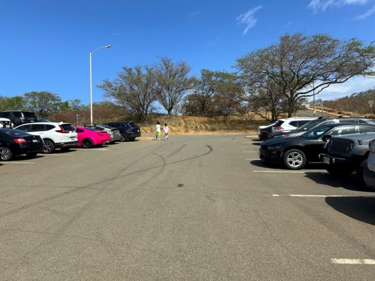 Should You Rent a Car on Oahu?